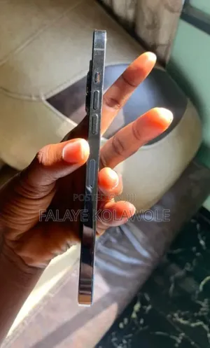 Apple iPhone 12 Pro Max 128 GB Gray