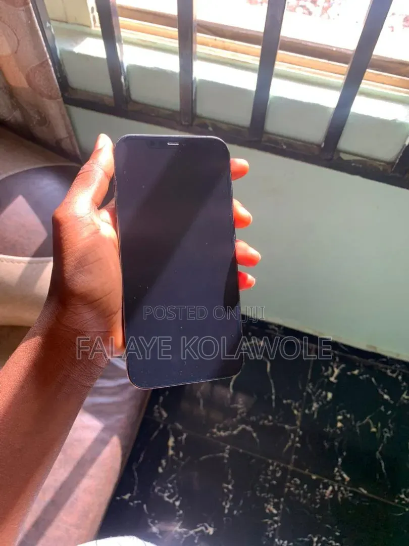 Apple iPhone 12 Pro Max 128 GB Gray