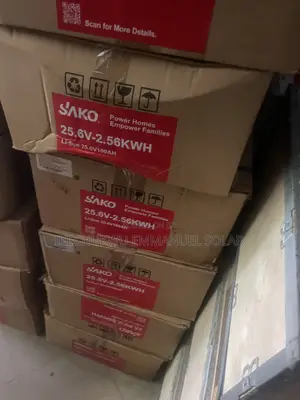2.5kwh Lithium Ion Battery Sako Much Available