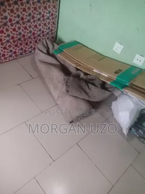 Big Size Palour Rug for Sell