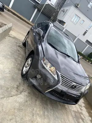 Lexus RX 2010 Gray