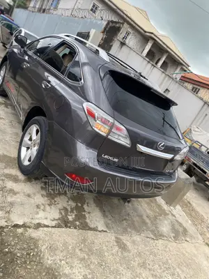 Lexus RX 2010 Gray