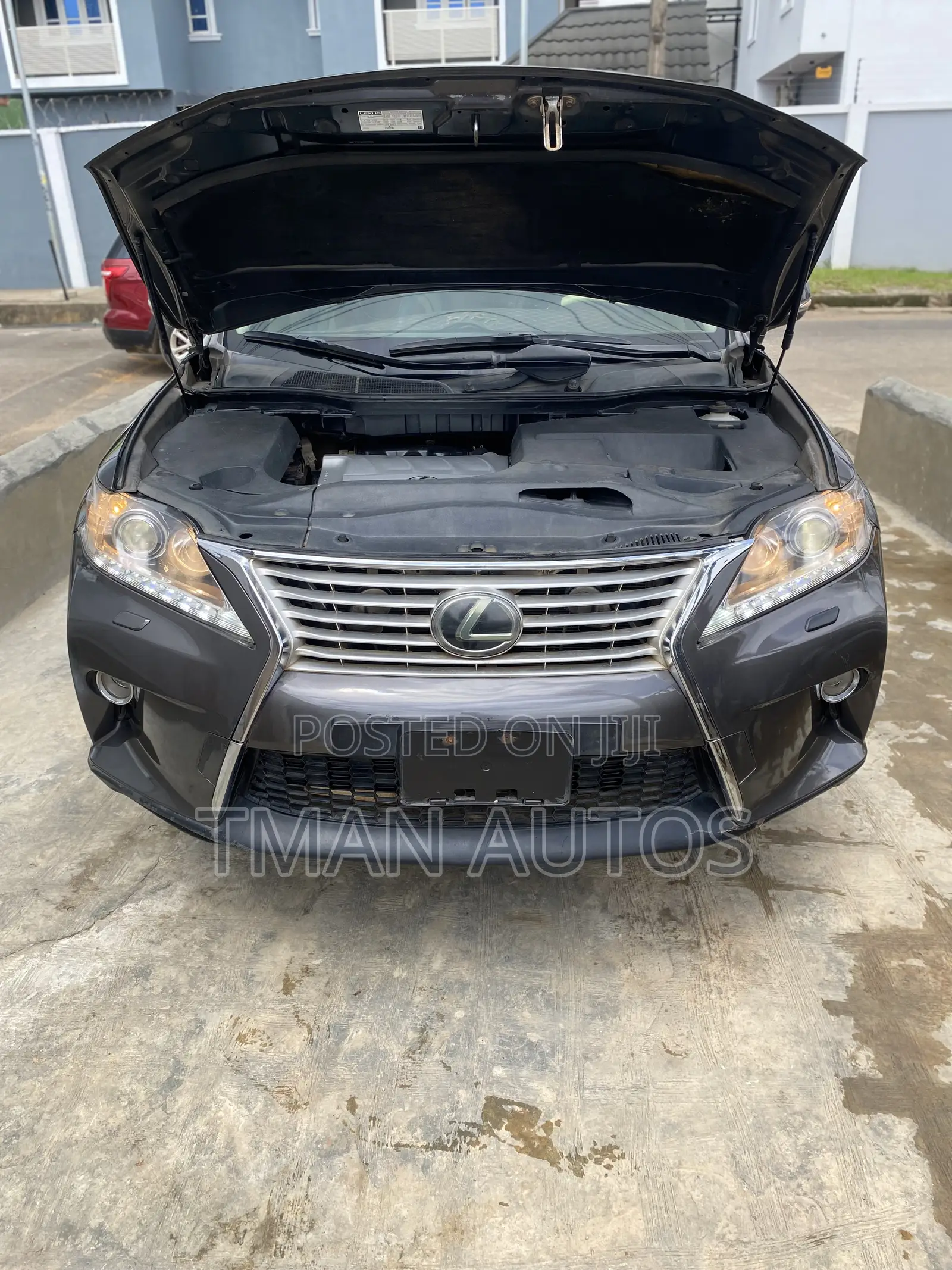 Lexus RX 2010 Gray