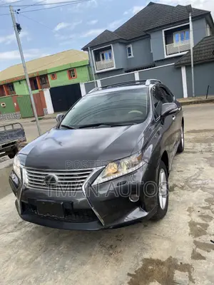 Lexus RX 2010 Gray