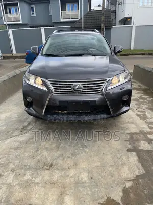 Lexus RX 2010 Gray