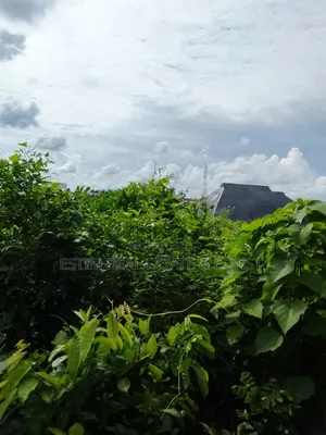 3 Acres of Land for Sale Inside Akufo Town Ibadan