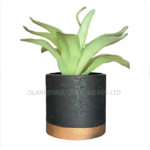 Black and Gold Pottery Pot