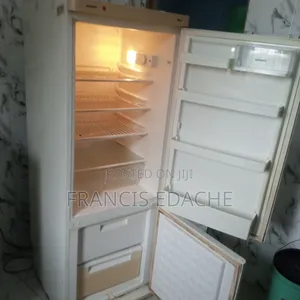 Siemens Double-Door Fridge