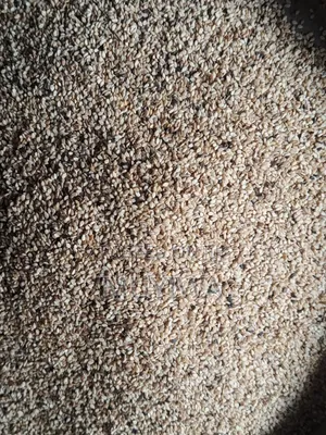 Sesame Seeds