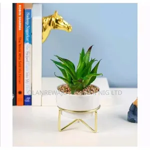 White Planter With Golden Stand Flower