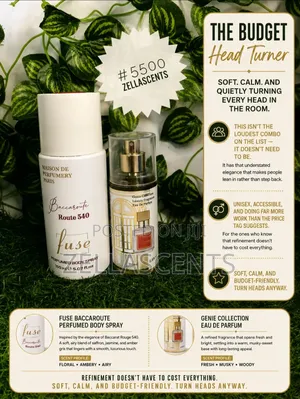 Long Lasting Perfume Combo Under