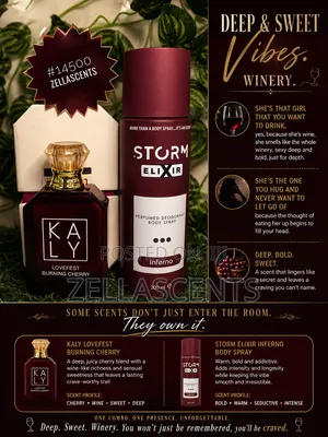 Long Lasting Perfume Combo Under