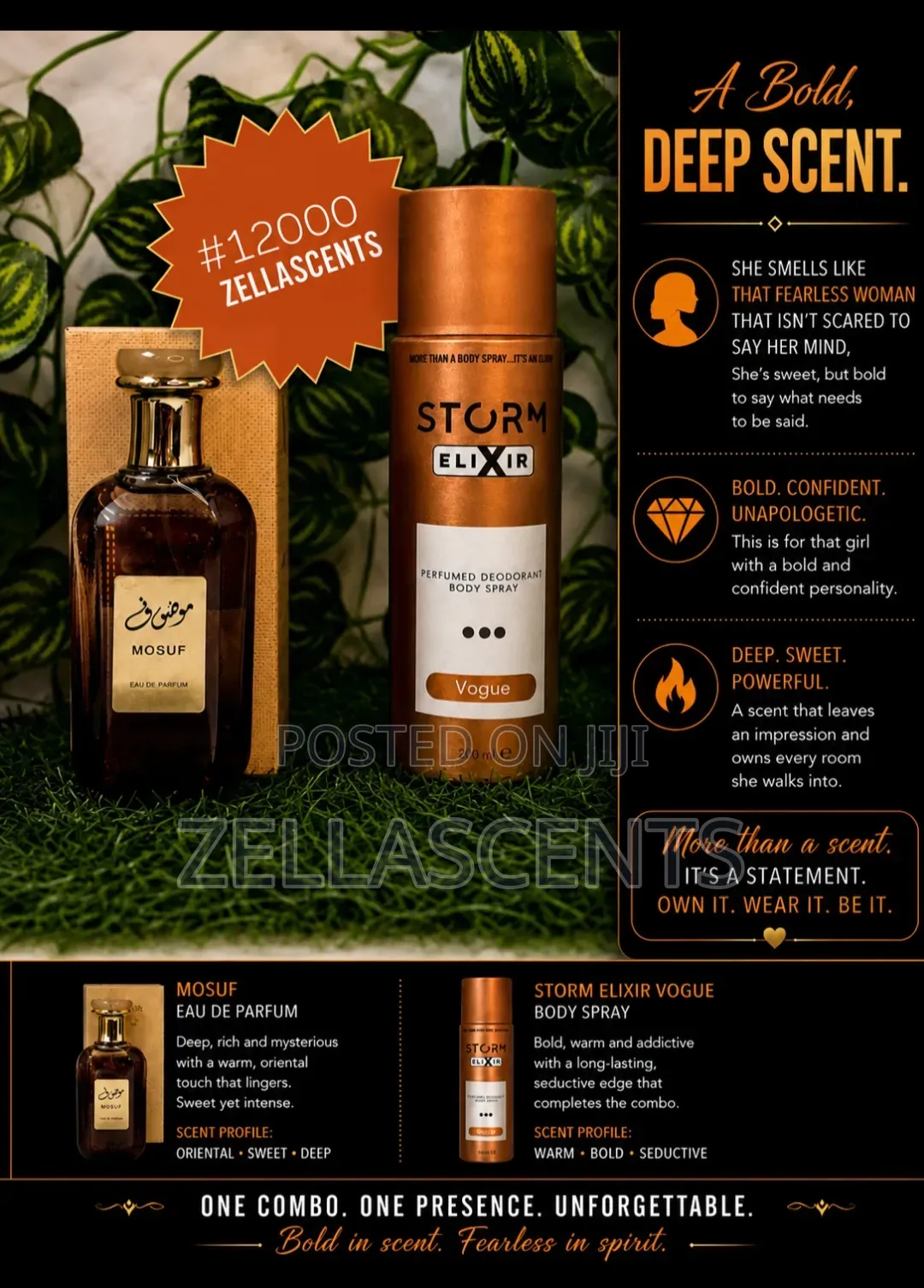 Long Lasting Perfume Combo Under