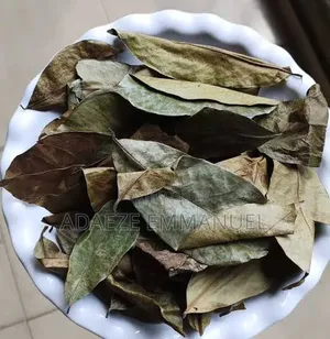 Soursop Leaf