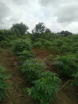 Farmland For Sale In Ogun
