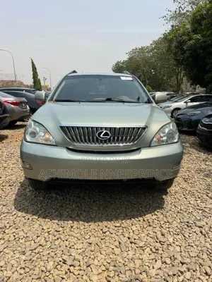 Lexus RX 350 AWD 2008 Gray