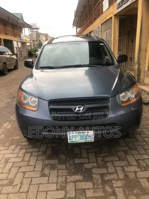 Hyundai Santa Fe 2008 Gray