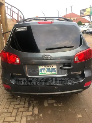 Hyundai Santa Fe 2008 Gray