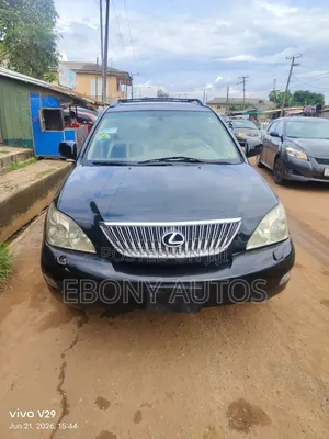 Lexus RX 2008 Gray