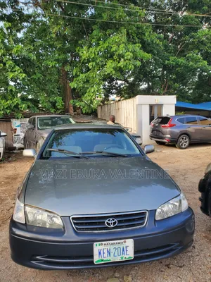 Toyota Camry 2002 Gray