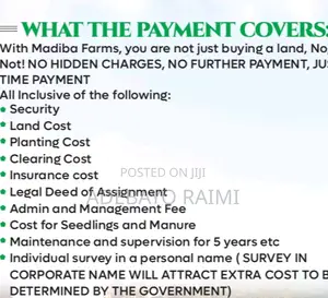 Mandiba Palm Trees Farm Investment