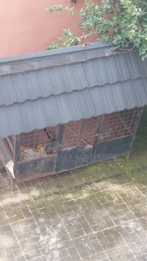 Dog Cage for Sale