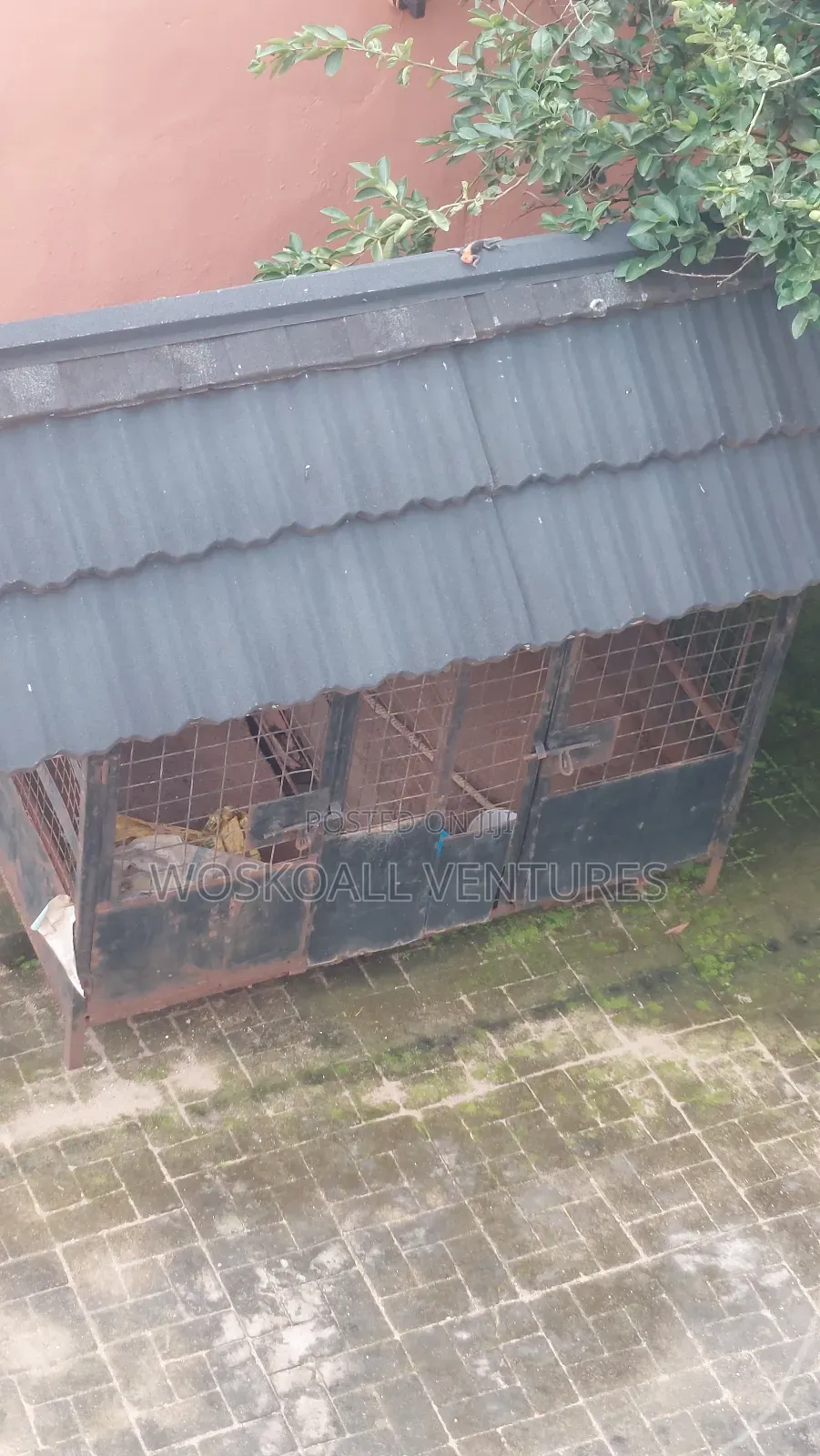 Dog Cage for Sale