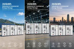 Dawnice 125kw - 265kwh All-in-One Commercial Energy Storage System