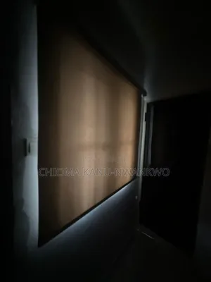 Window Blinds