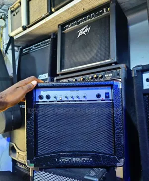 Soundking Pl 10 Guitar Combo Amplifier
