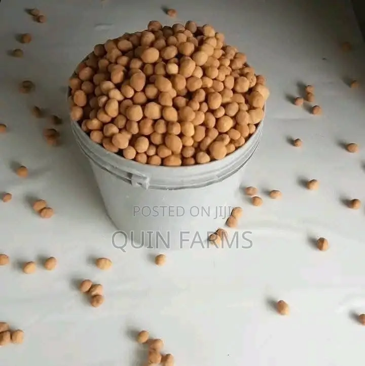 Crunchy Peanut Burger