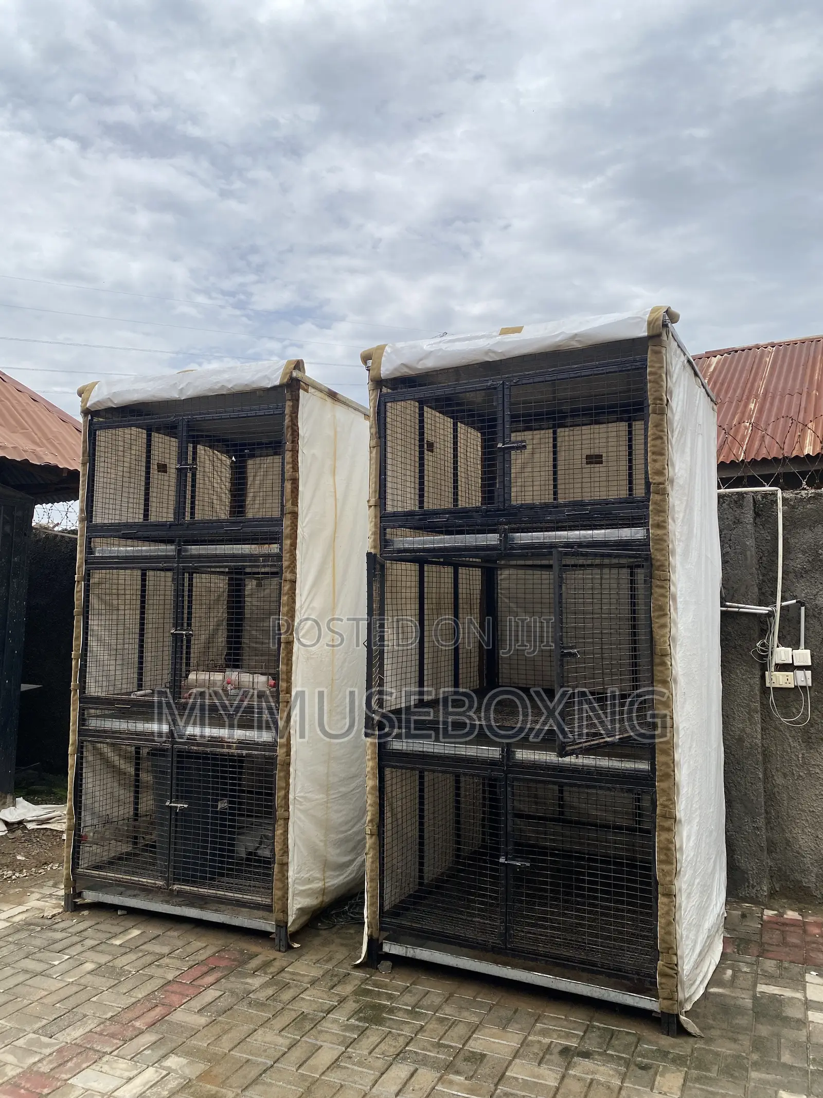 Chicken Cage