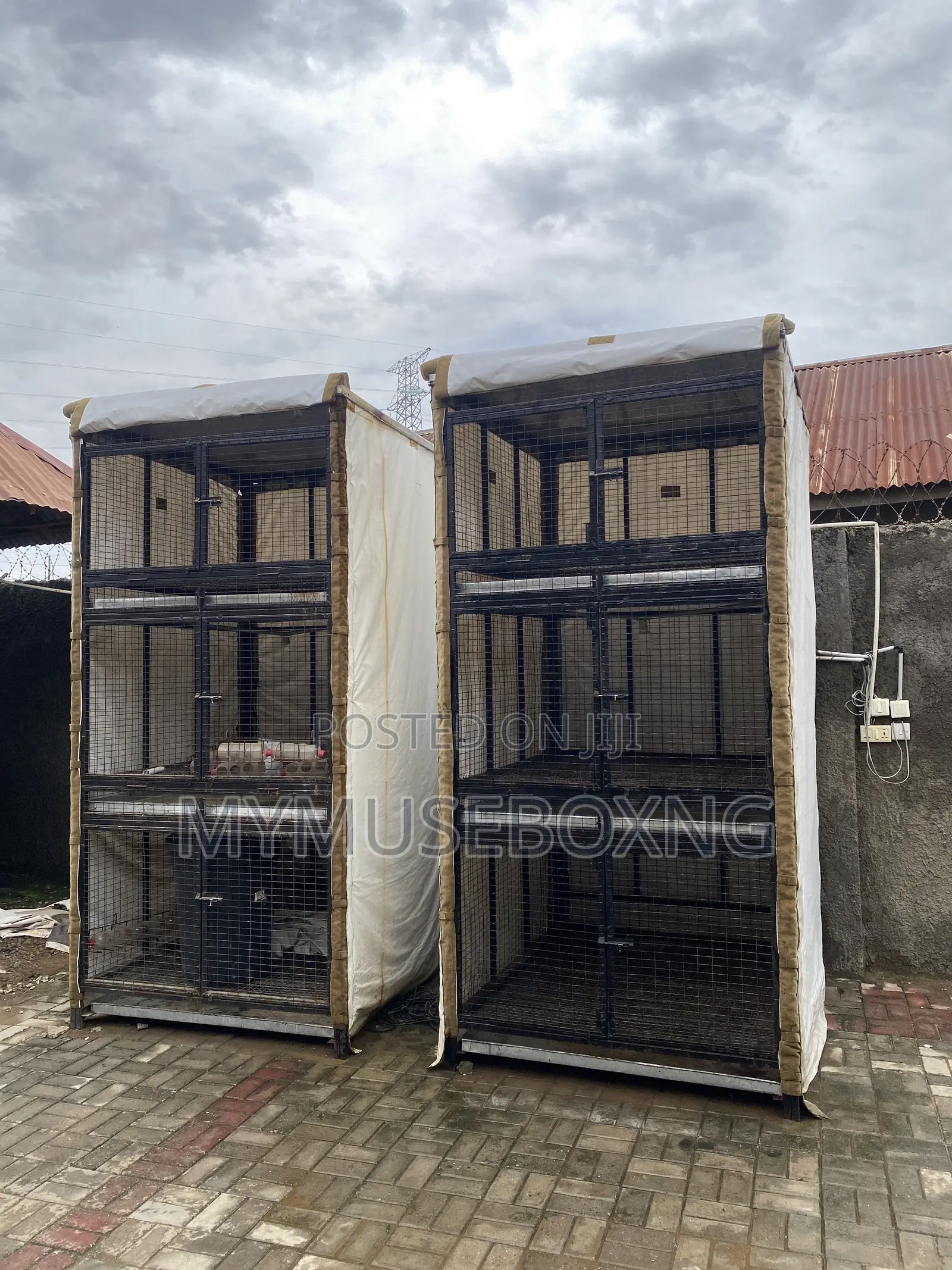 Chicken Cage