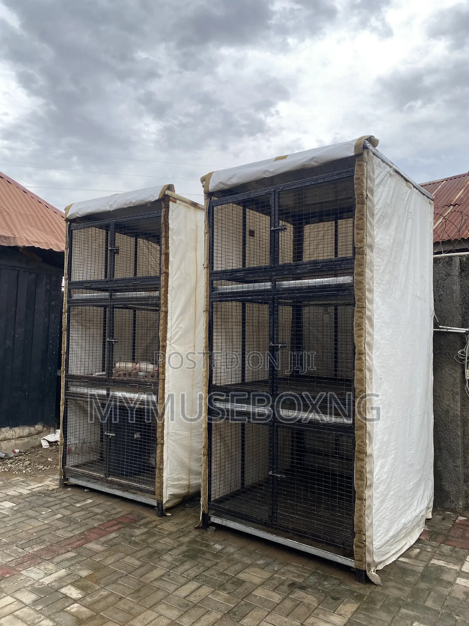 Chicken Cage