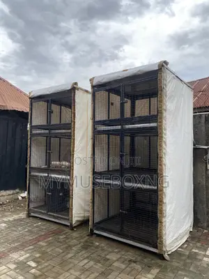 Chicken Cage