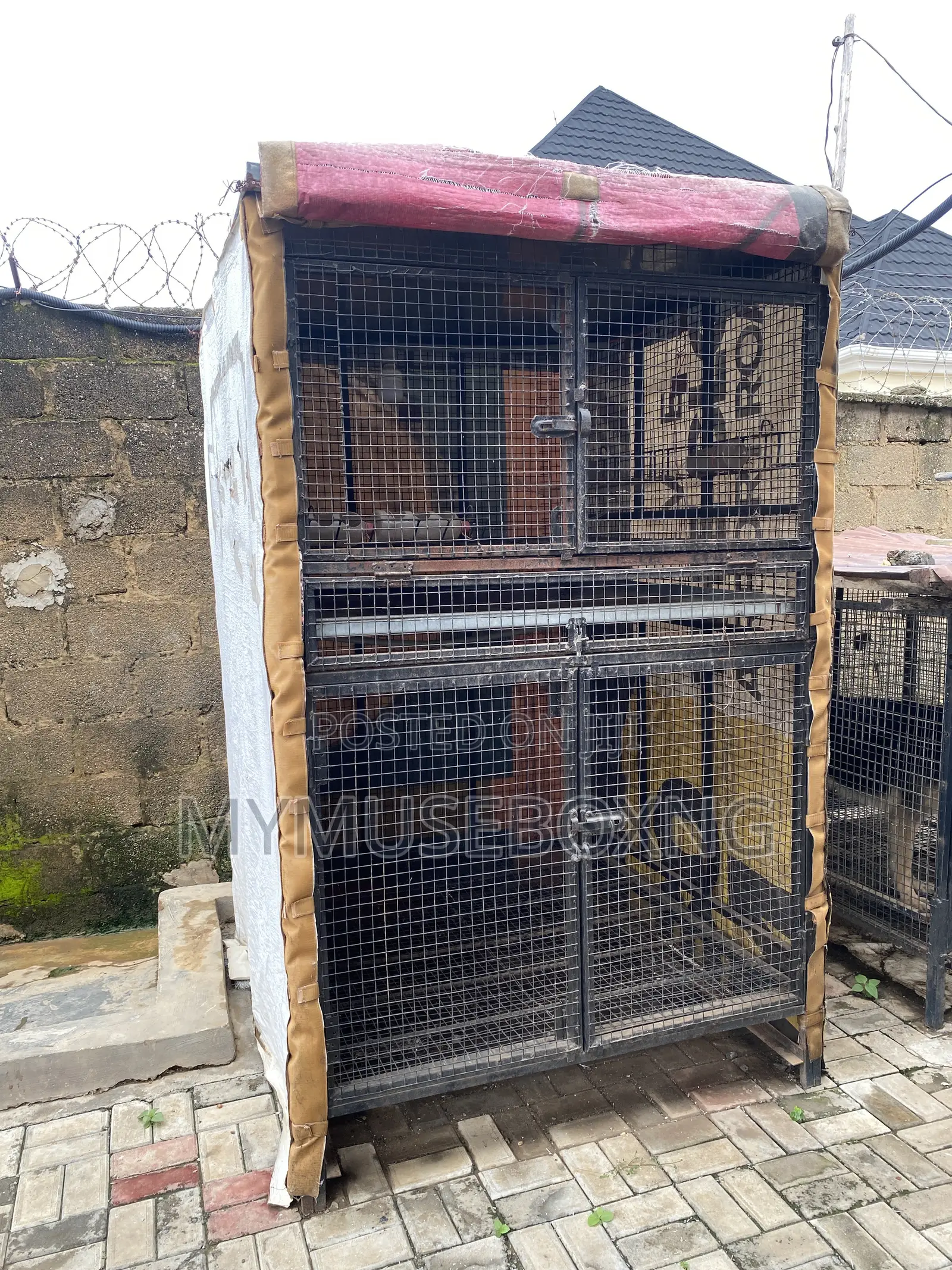 Chicken Cage