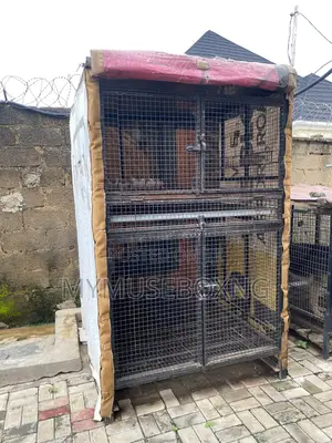 Chicken Cage
