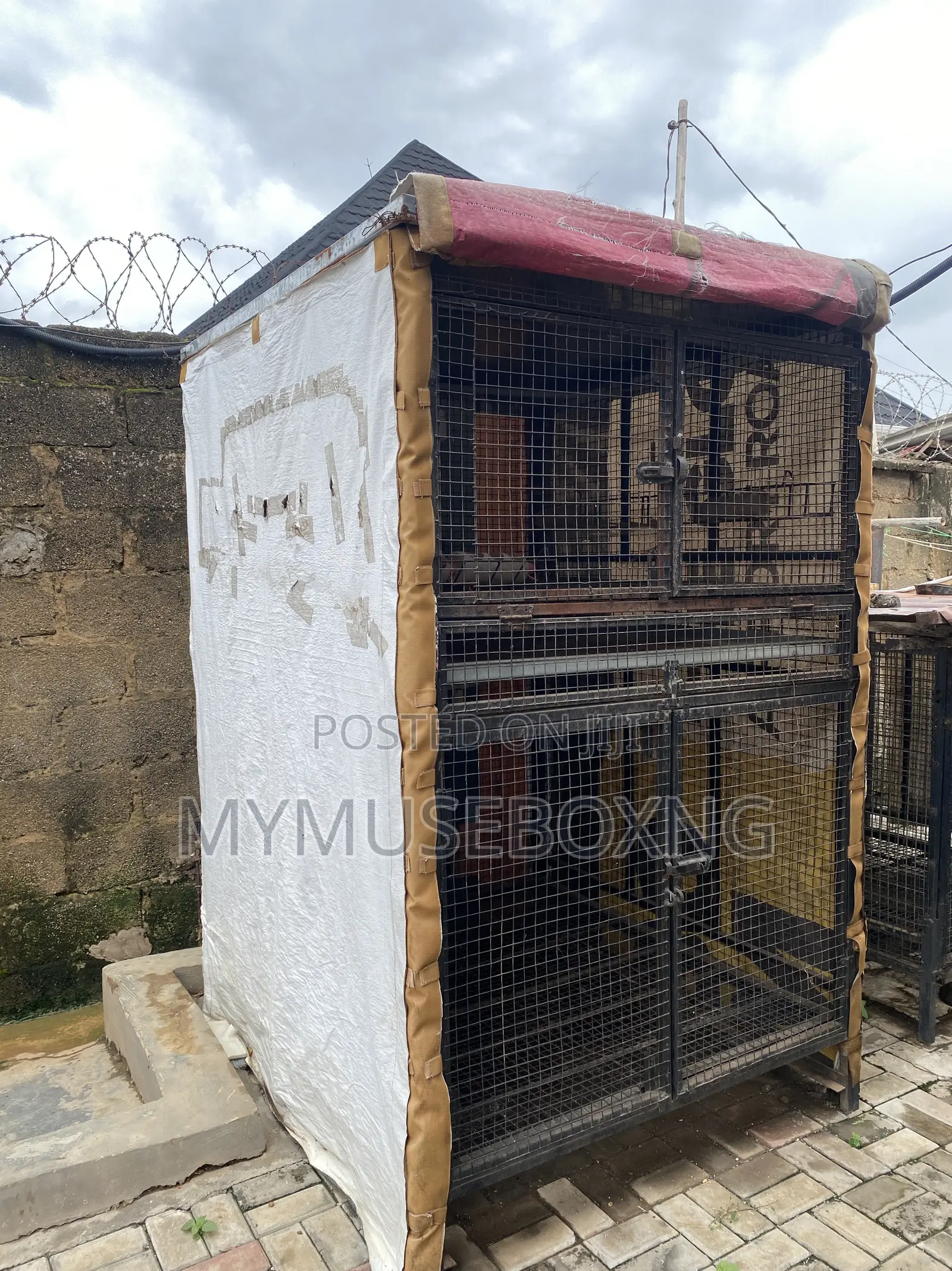 Chicken Cage