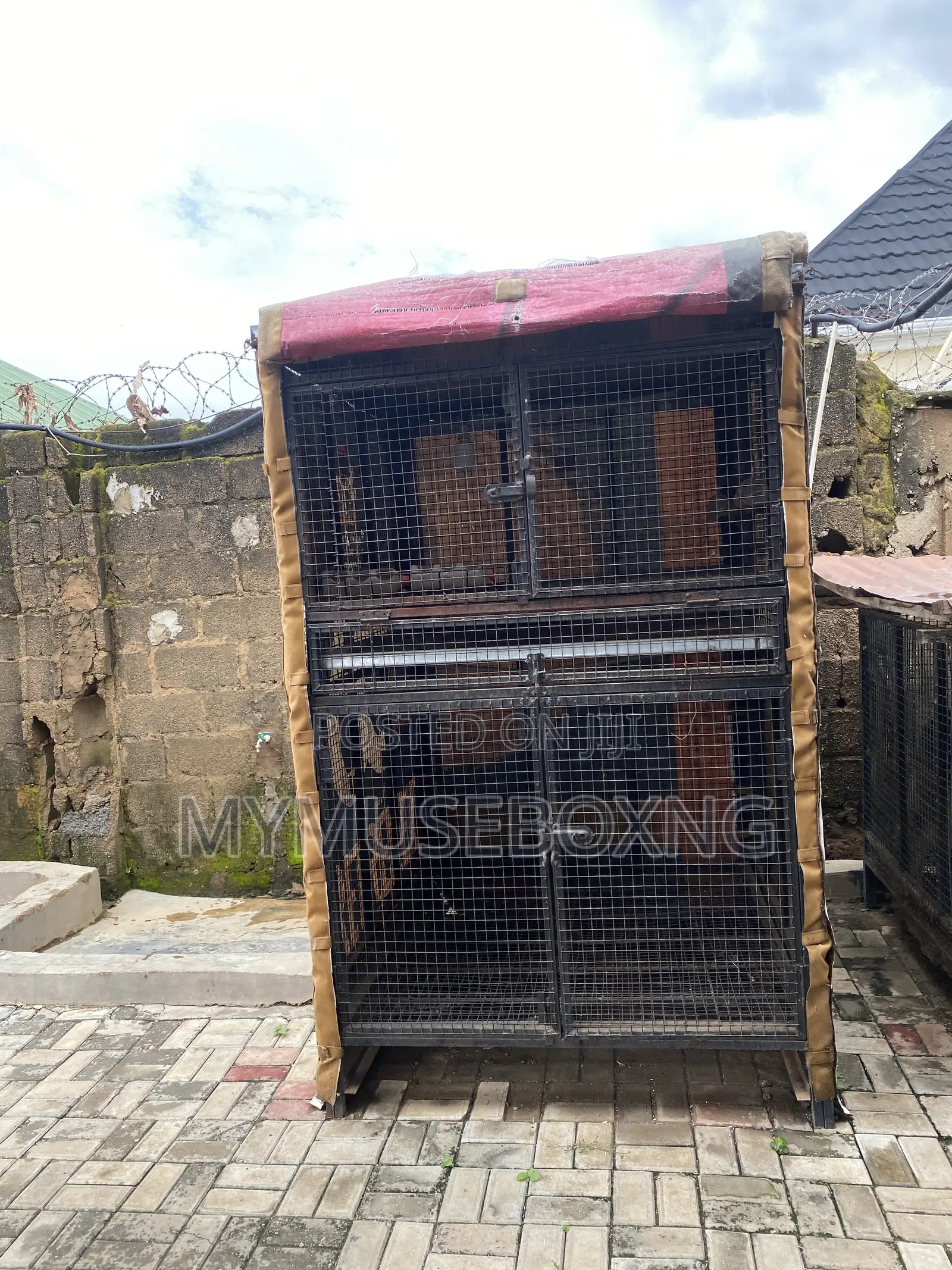 Chicken Cage