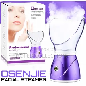 Professional Facial Steamer