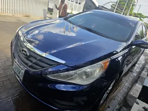 Hyundai Sonata 2013 Blue
