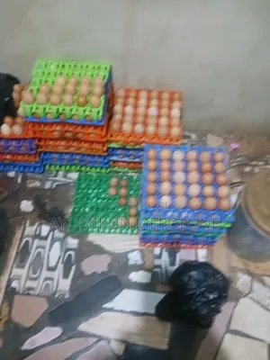I'm a Poultry Farmer Who Produces Eggs of Different Sizes at Oke Odu