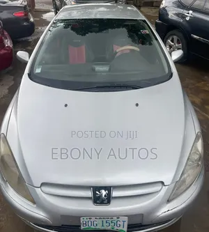 Peugeot 307 2007 Silver