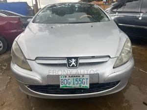 Peugeot 307 2007 Silver