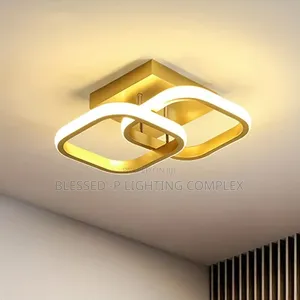Led Portable Ceiling Light