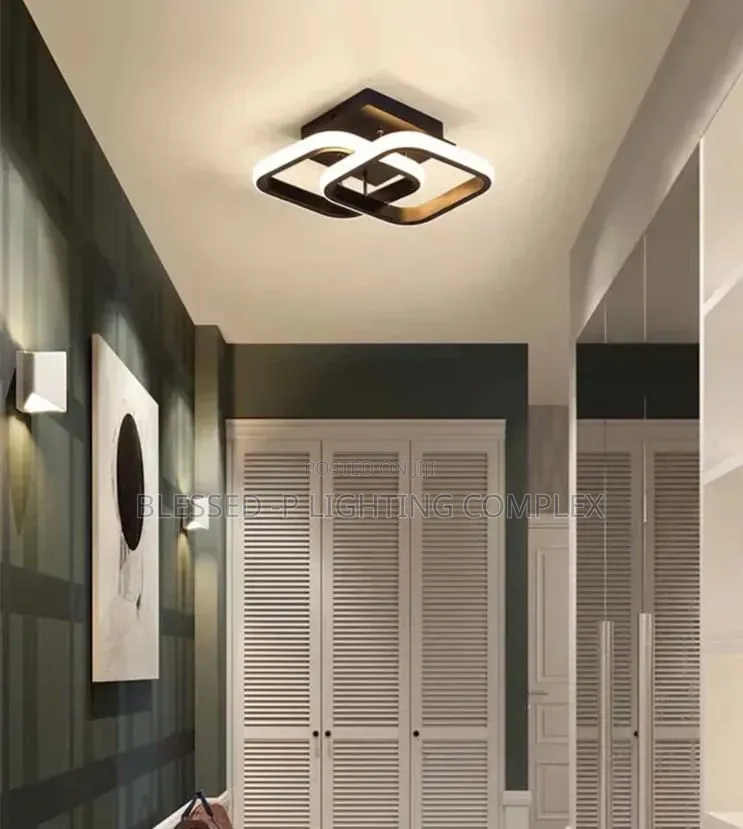 Led Portable Ceiling Light