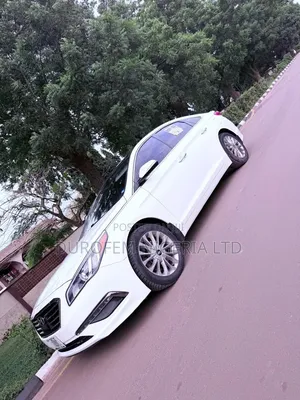 Hyundai Sonata 2015 White