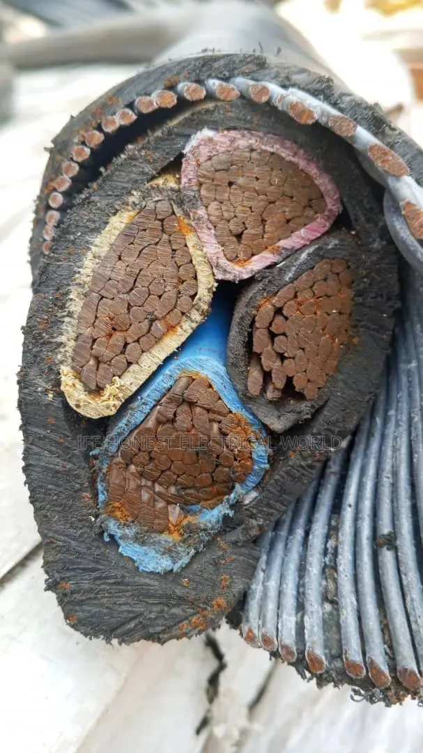 300mmx31⁄2core Cable