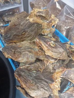 Apama Stockfish Head