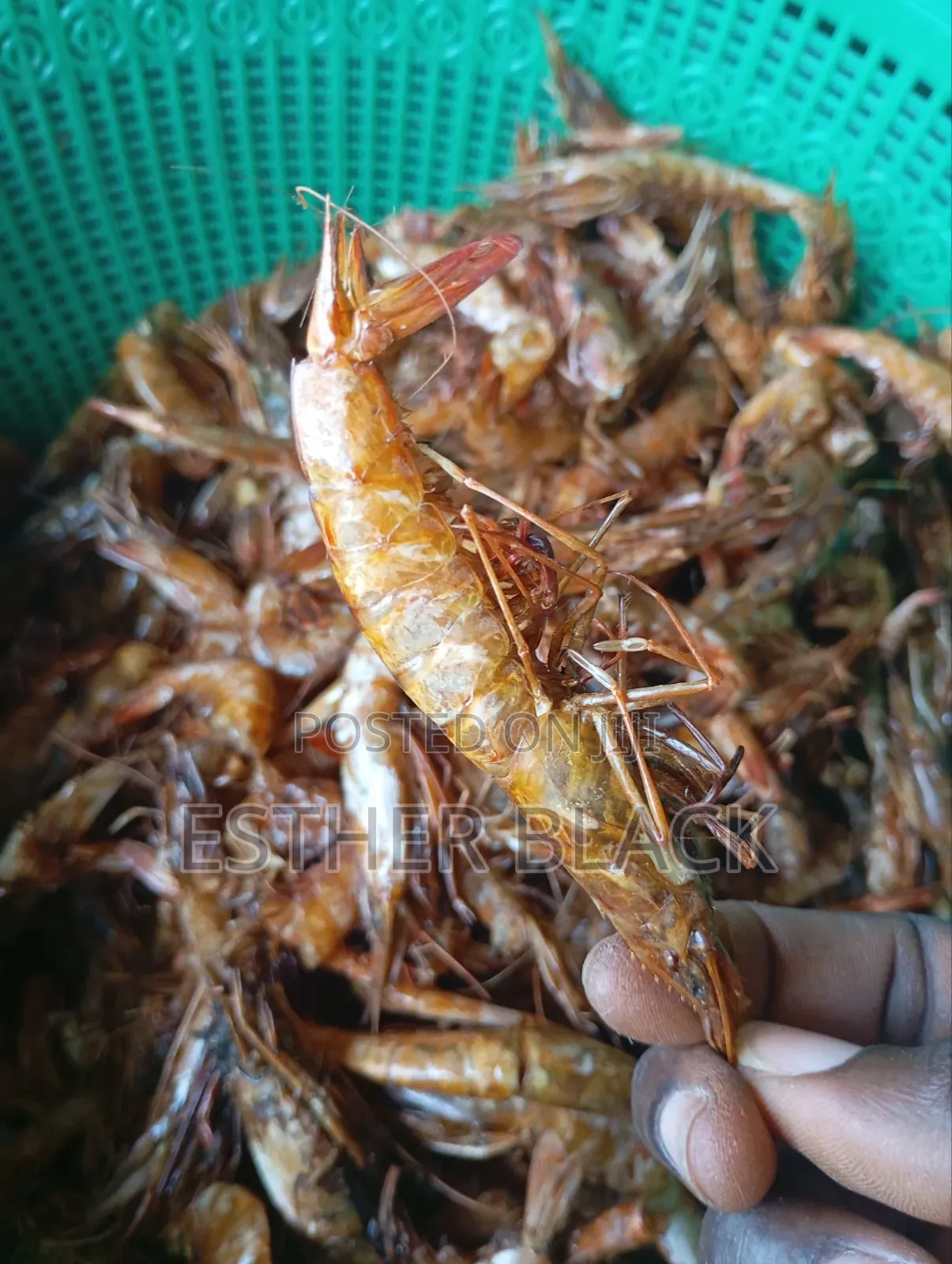 Dried Prawns